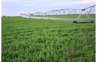 Property photo 115 - LAND AUCTION, 3255+/- Acres offered in 13 Tracts